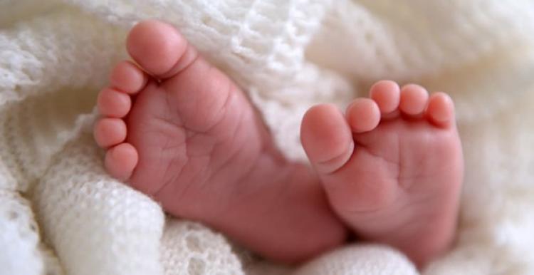 Little feet and toes